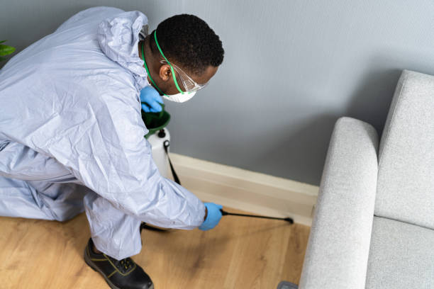 Emergency Pest Control Services in East Aurora, NY